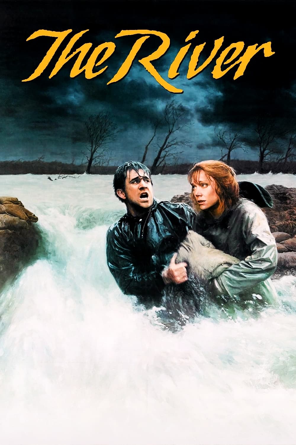 Постер The River